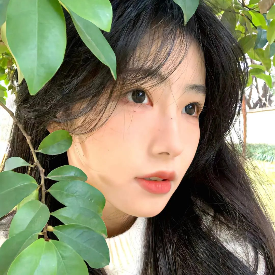 小花仙第三季